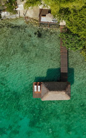 Diseño sin título (13)